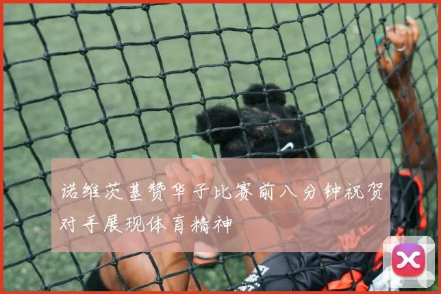诺维茨基赞华子比赛前八分钟祝贺对手展现体育精神