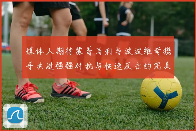 媒体人期待蒙哥马利与波波维奇携手共进强强对抗与快速反击的完美结合