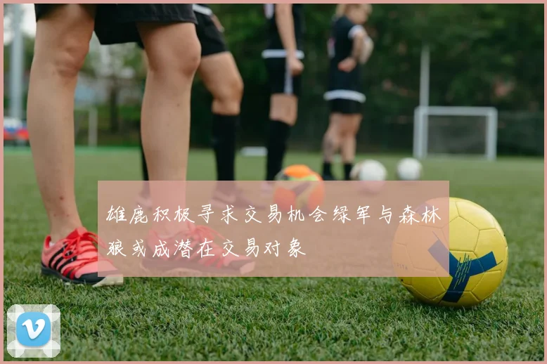 雄鹿积极寻求交易机会绿军与森林狼或成潜在交易对象